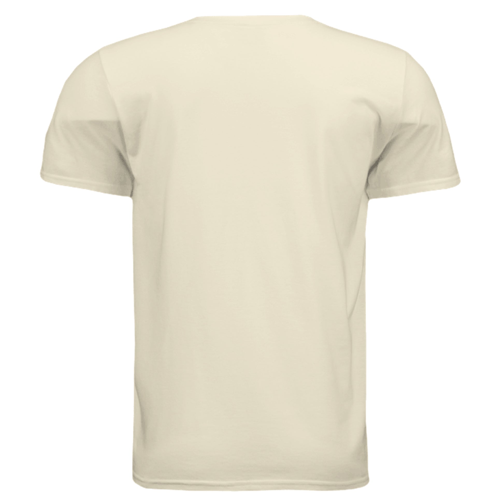 Off-white T-Shirt - back view